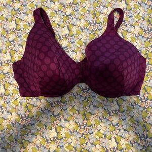 AmPolka Dot Purple Bra